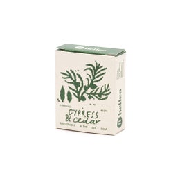 Sypressi-seetri