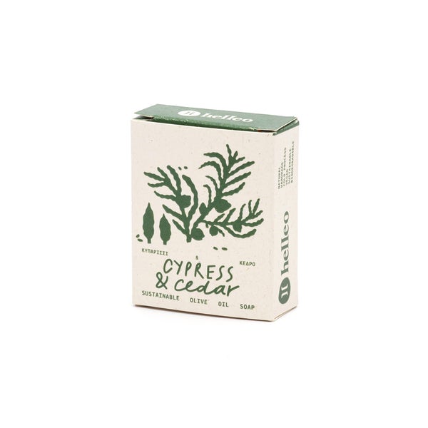 Sypressi-seetri